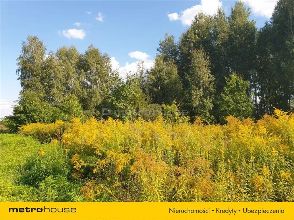 Działka 5 700,00 m², oferta nr , LENA755, Piaski
