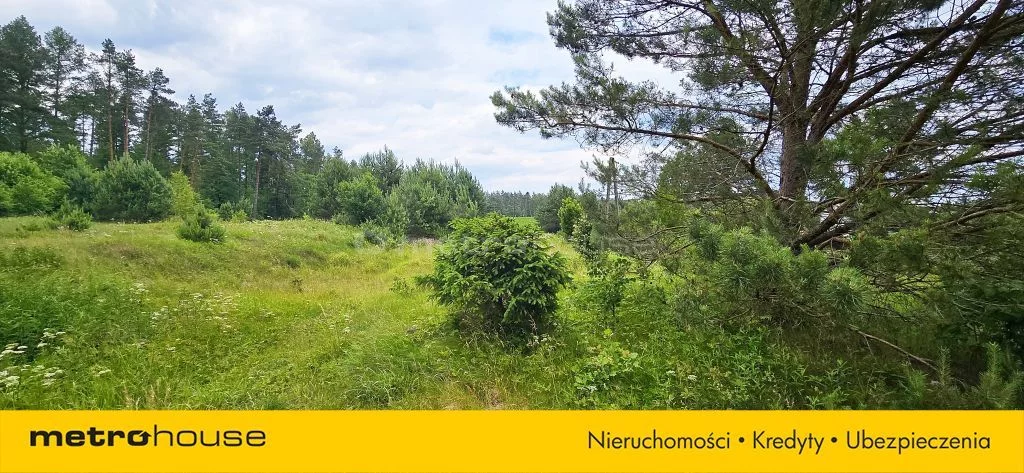 Działka 6 500,00 m², oferta nr , SGCAMA284, Leśniewo, Piaskowa