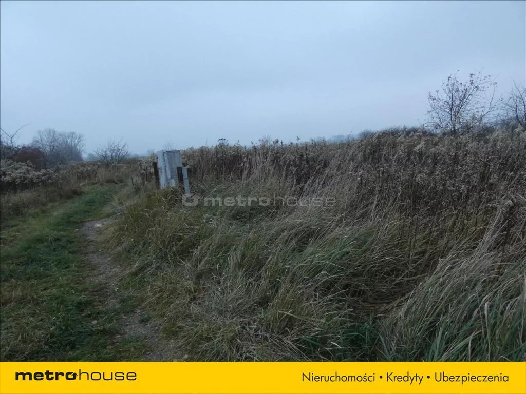 Działka 1 280,00 m², oferta nr , BUXU149, Pieńków