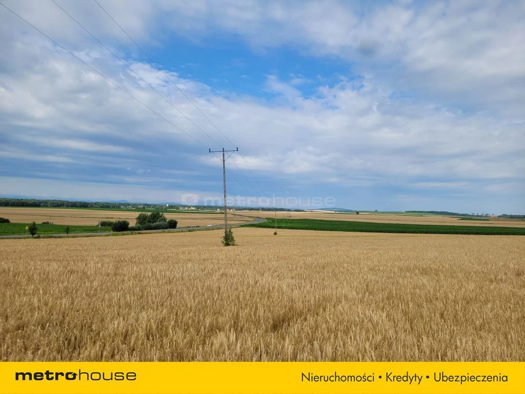 Działka 903,00 m², oferta nr , SGZURA247, Piława