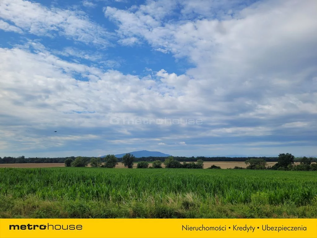 Działka 903,00 m², oferta nr , SGZURA247, Piława