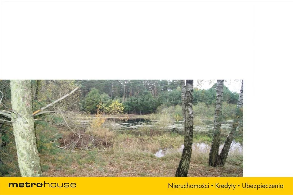 Działka 70 450,00 m², oferta nr , RIWU125, Pinino