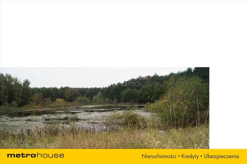 Działka 70 450,00 m², oferta nr , RIWU125, Pinino
