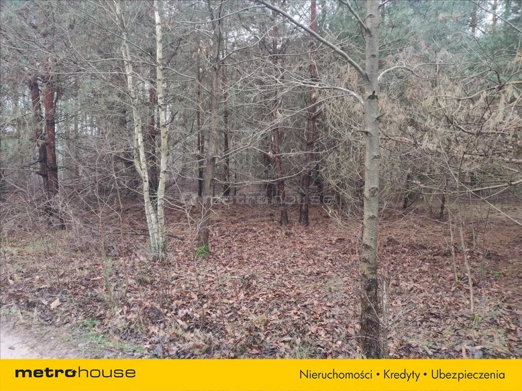 Działka 12 335,00 m², oferta nr , RIJU573, Piotrkowice