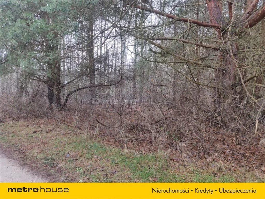 Działka 12 335,00 m², oferta nr , RIJU573, Piotrkowice