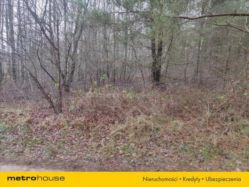 Działka 12 335,00 m², oferta nr , RIJU573, Piotrkowice