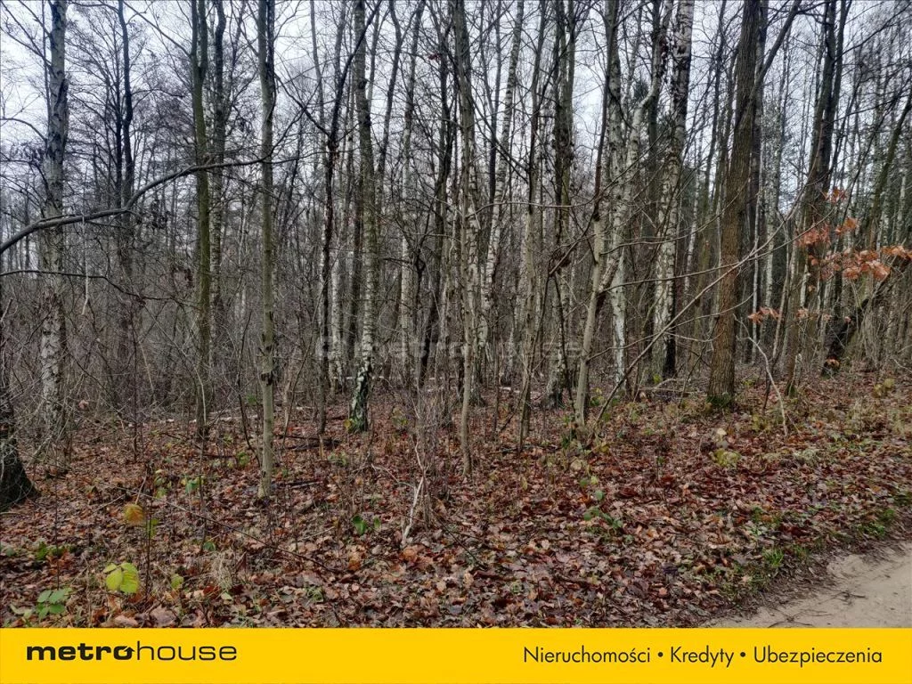 Działka 12 335,00 m², oferta nr , RIJU573, Piotrkowice