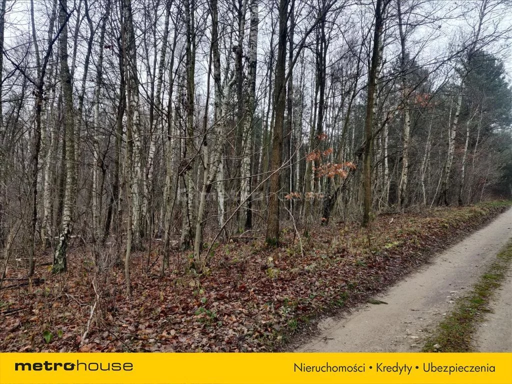 Działka 12 335,00 m², oferta nr , RIJU573, Piotrkowice