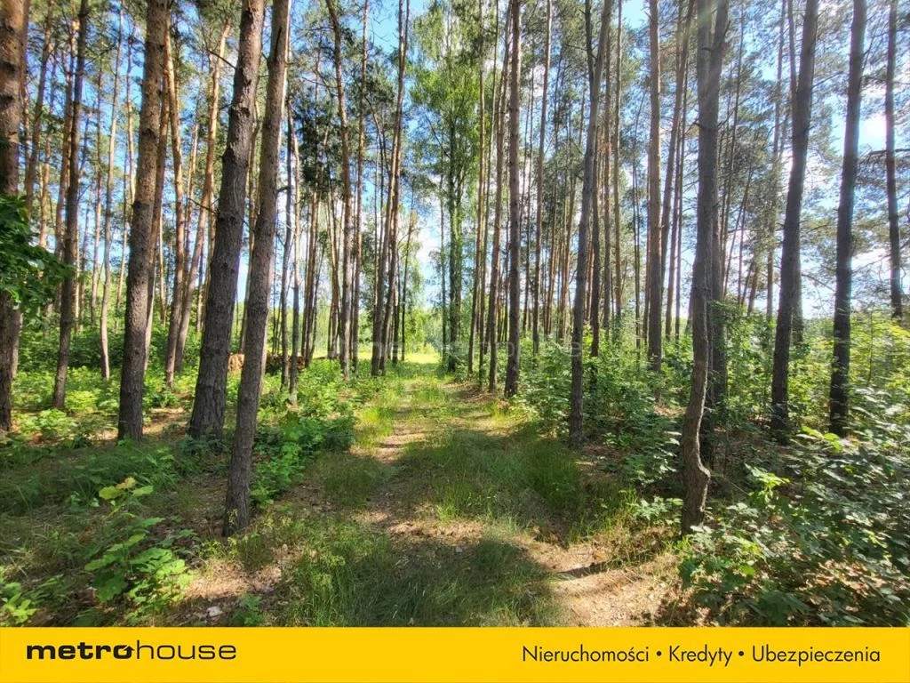 Działka 17 600,00 m², oferta nr , HAMA436, Piotrkowice