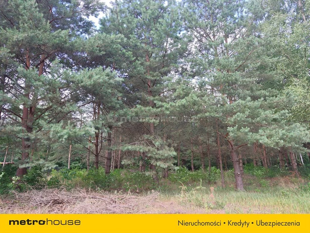 Działka 1 096,00 m², oferta nr , SGPITA306, PRAWDA, Podleśna