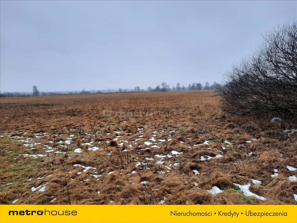 Działka 20 060,00 m², oferta nr , NIZI258, Podłężyce