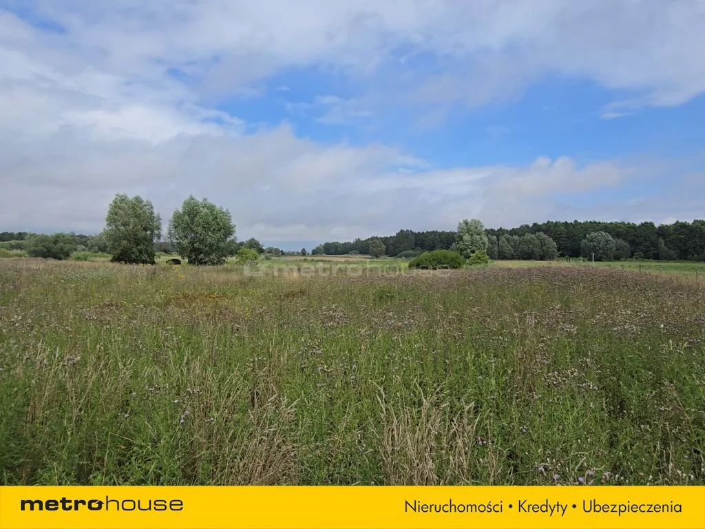 Działka 15 900,00 m², oferta nr , SGDAPU108, Półmieście