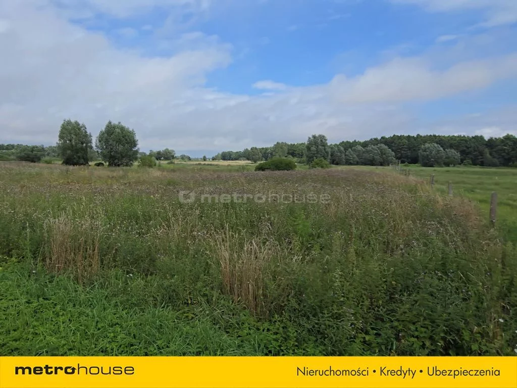 Działka 15 900,00 m², oferta nr , SGDAPU108, Półmieście