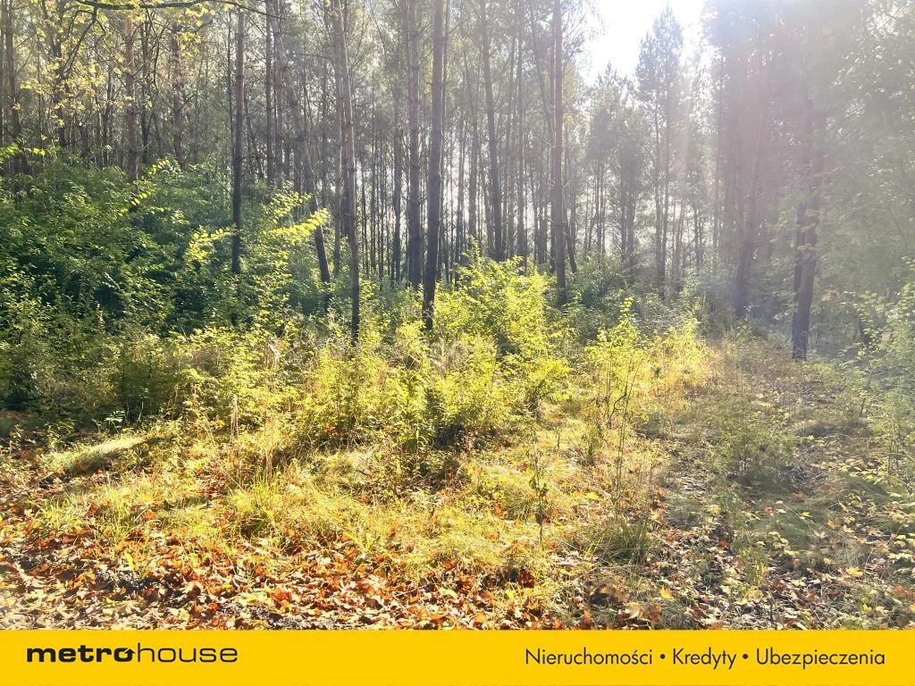 Działka 4 391,00 m², oferta nr , SGROSI248, Powałki, Polna