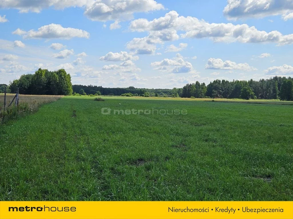 SGGALU819 - zdjęcie nr 4