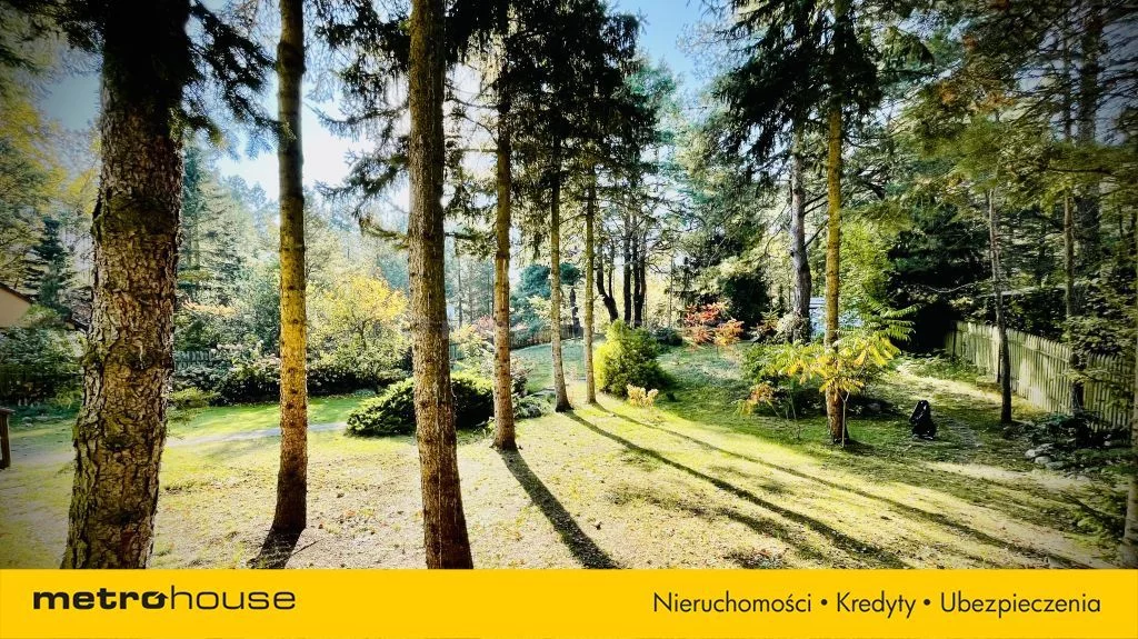 SGKALY433 - zdjęcie nr 0