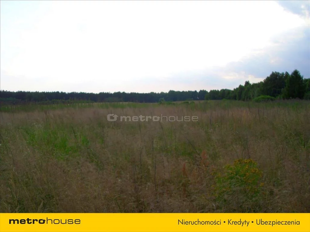 Działka 21 392,00 m², oferta nr , KIXE368, Polska Wieś