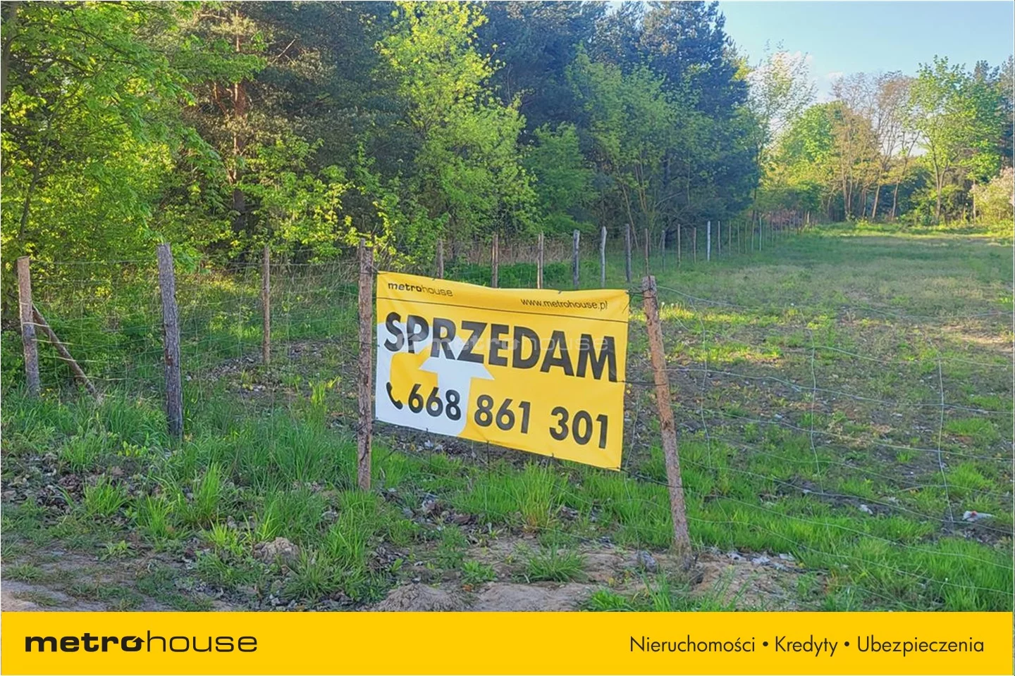 SEZO571 - zdjęcie nr 4