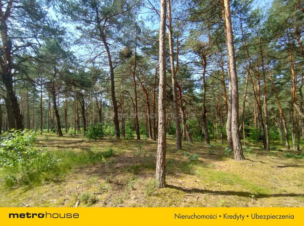 Działka 16 552,00 m², oferta nr , SGGERI427, Popowo-Letnisko