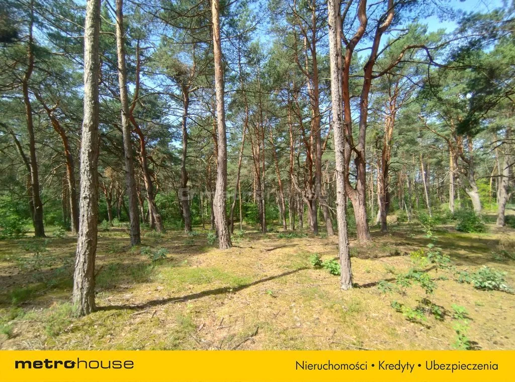 Działka 16 552,00 m², oferta nr , SGGERI427, Popowo-Letnisko