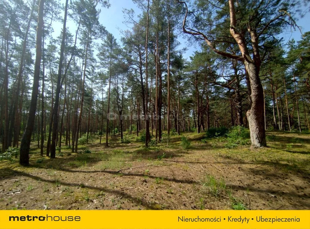Działka 16 552,00 m², oferta nr , SGGERI427, Popowo-Letnisko