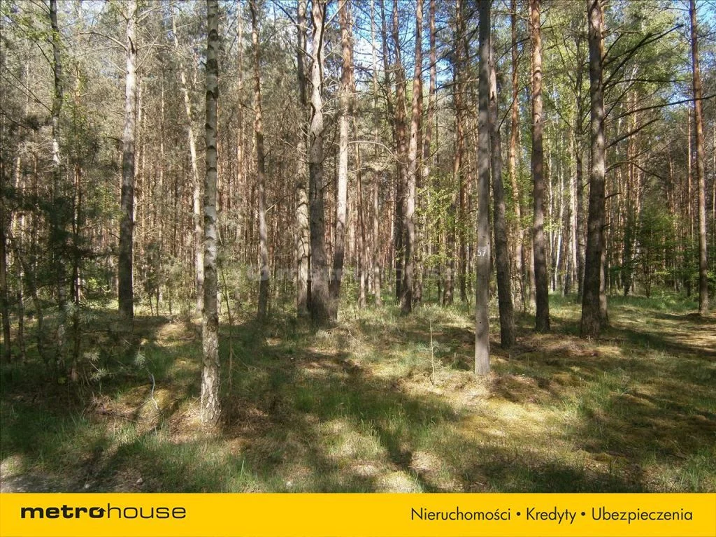 GIMA758 - zdjęcie nr 2