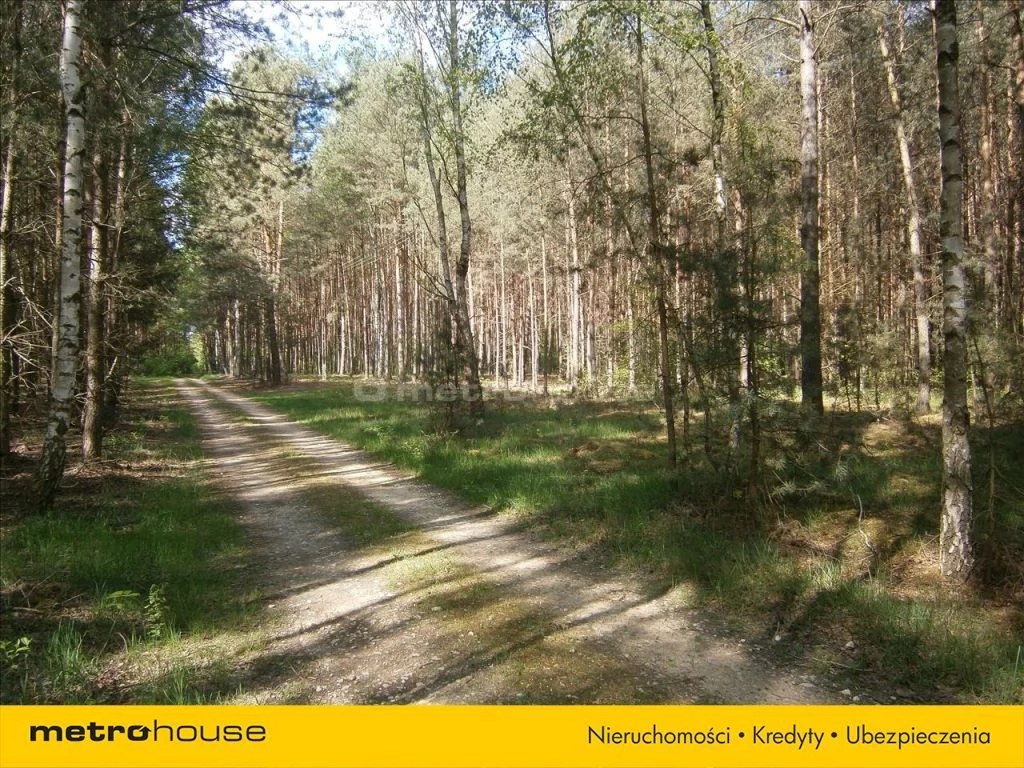 GIMA758 - zdjęcie nr 3