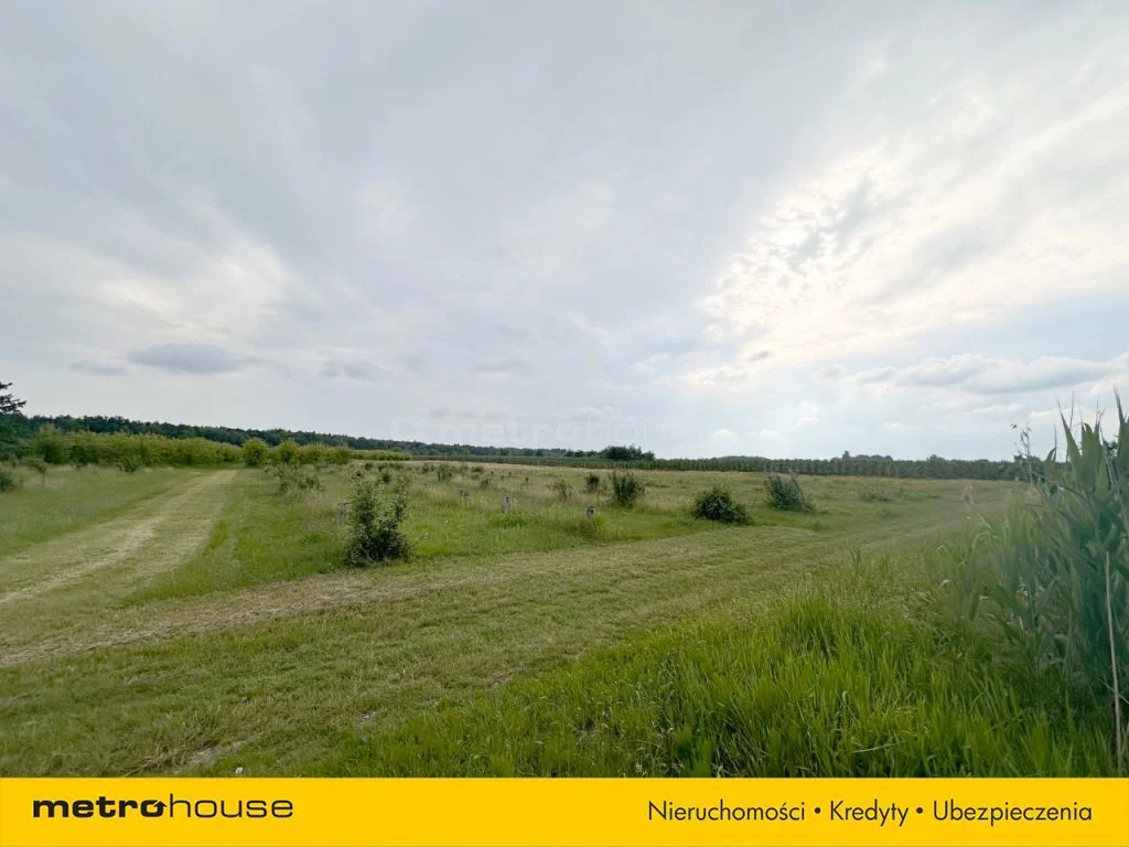 Działka 49 964,00 m², oferta nr , SGRIBU586, Potycz