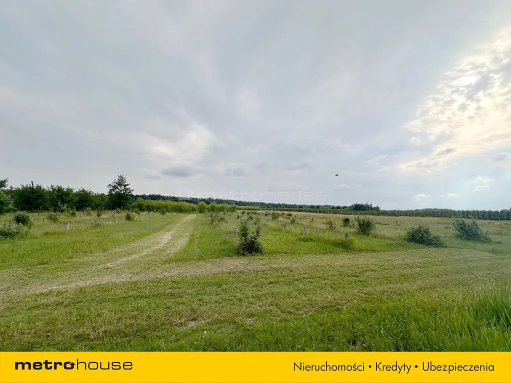 Działka 49 964,00 m², oferta nr , SGRIBU586, Potycz