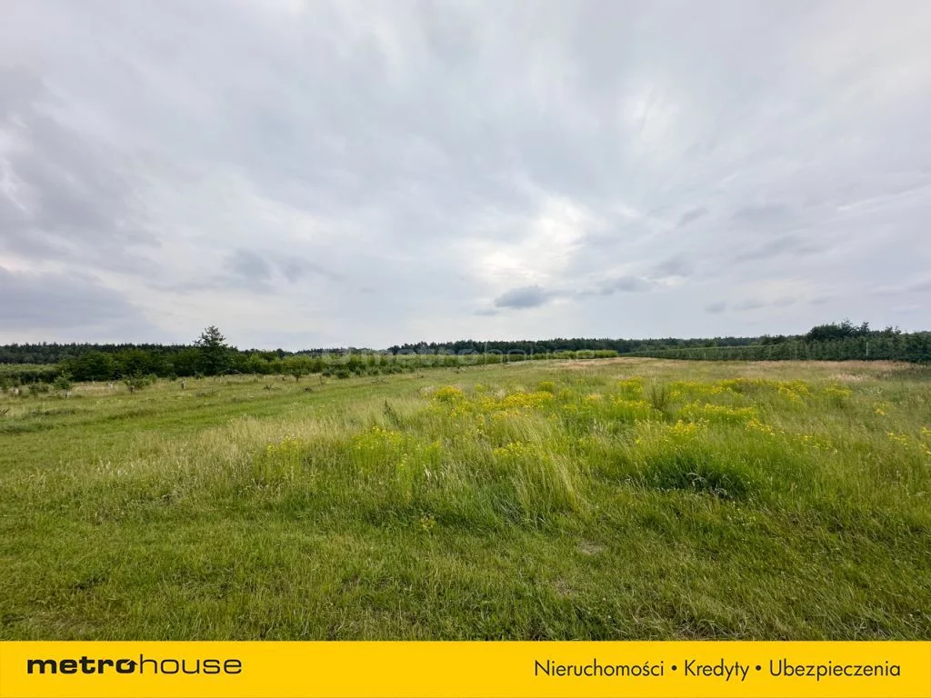 Działka 49 964,00 m², oferta nr , SGRIBU586, Potycz