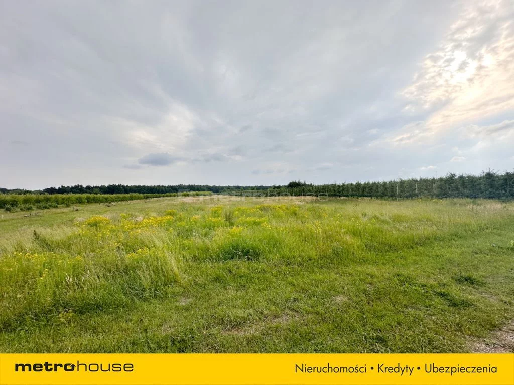 Działka 49 964,00 m², oferta nr , SGRIBU586, Potycz