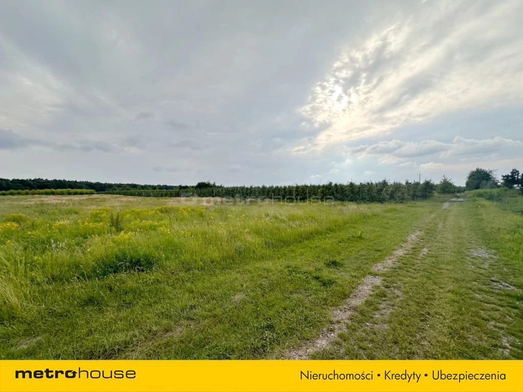 Działka 49 964,00 m², oferta nr , SGRIBU586, Potycz