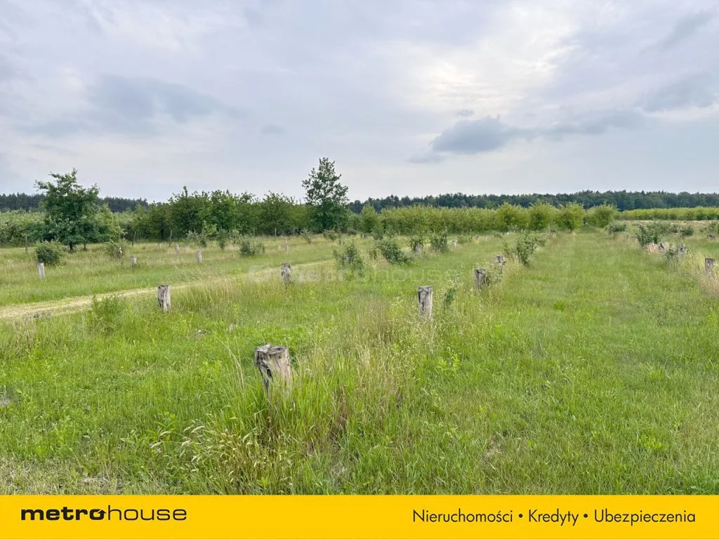 Działka 49 964,00 m², oferta nr , SGRIBU586, Potycz