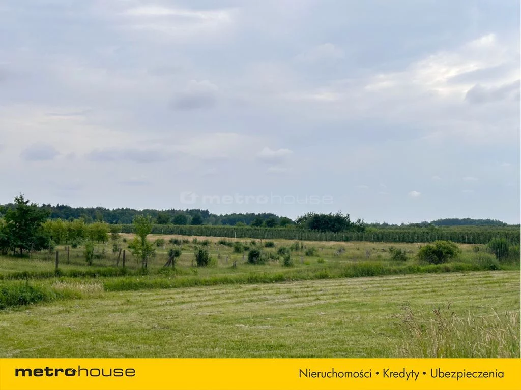 Działka 49 964,00 m², oferta nr , SGRIBU586, Potycz