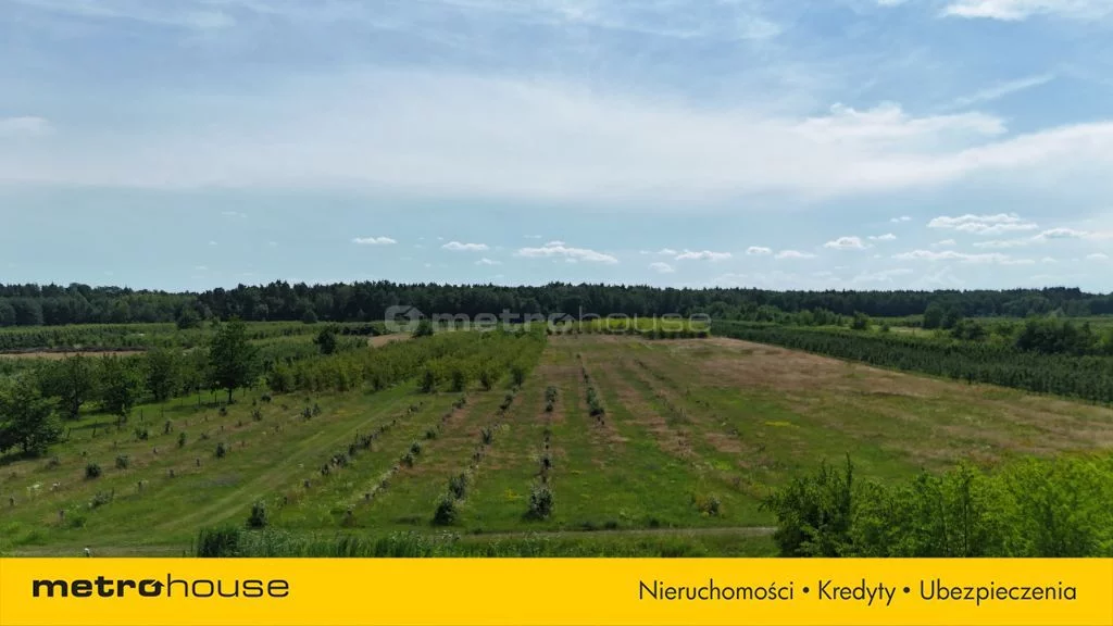 Działka 49 964,00 m², oferta nr , SGRIBU586, Potycz