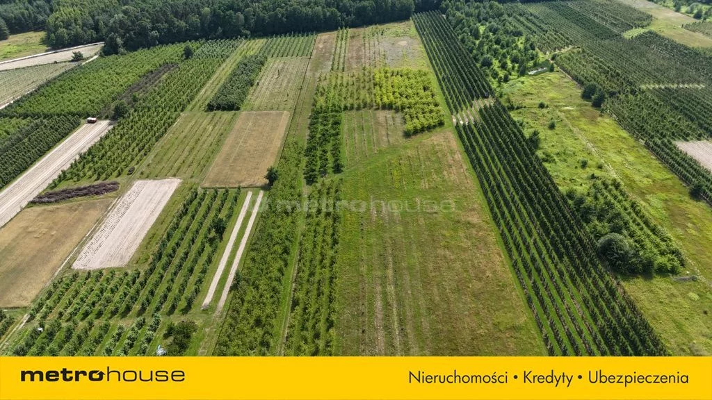 Działka 49 964,00 m², oferta nr , SGRIBU586, Potycz