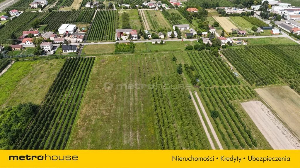 Działka 49 964,00 m², oferta nr , SGRIBU586, Potycz