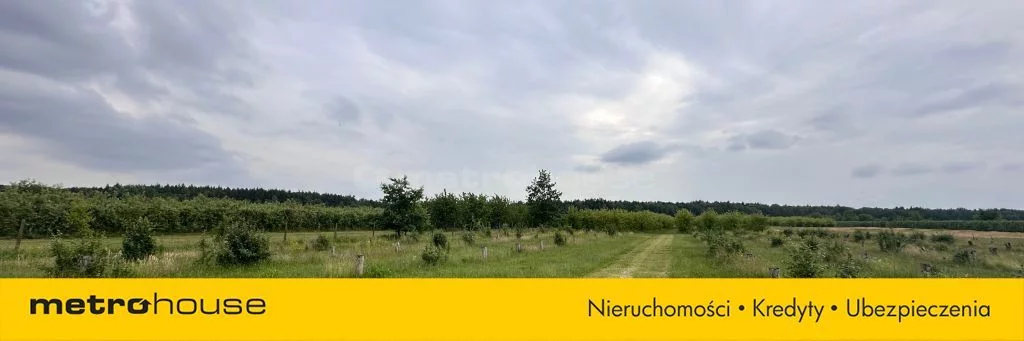 Działka 49 964,00 m², oferta nr , SGRIBU586, Potycz