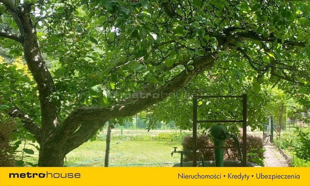 SGLOSE230 - zdjęcie nr 2