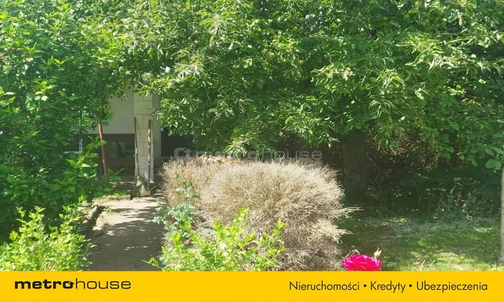 SGLOSE230 - zdjęcie nr 3