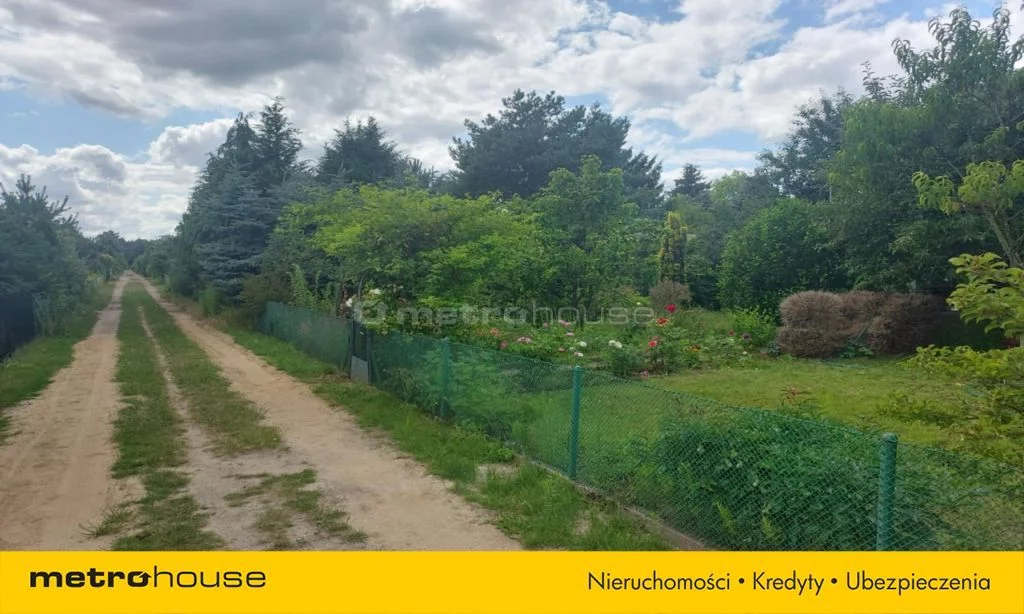 SGLOSE230 - zdjęcie nr 4