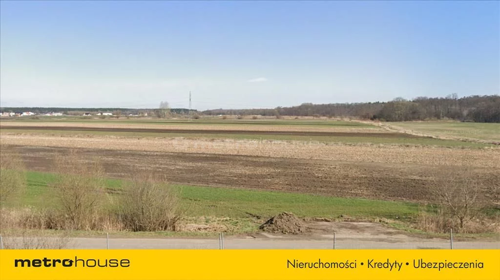 KOFU807 - zdjęcie nr 2