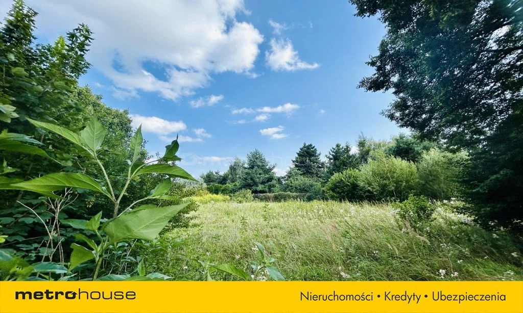 SGSIGY157 - zdjęcie nr 3