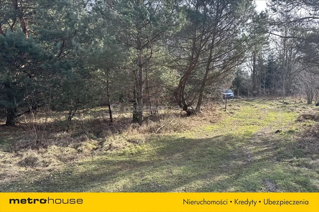 Działka 37 749,00 m², oferta nr , FAXY135, PRAWDA