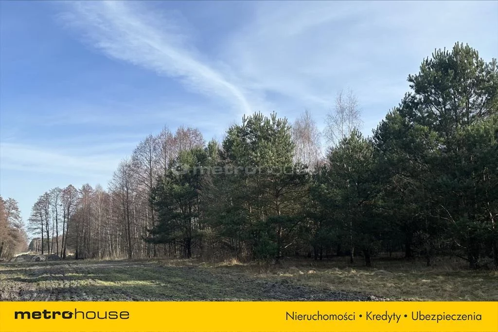 Działka 37 749,00 m², oferta nr , FAXY135, PRAWDA