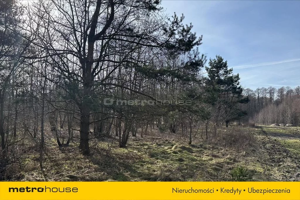 Działka 37 749,00 m², oferta nr , FAXY135, PRAWDA
