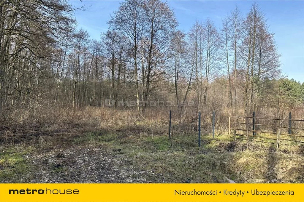 Działka 37 749,00 m², oferta nr , FAXY135, PRAWDA