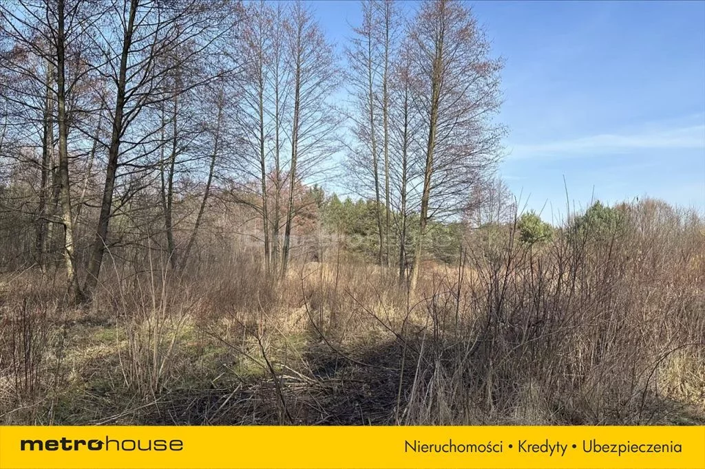 Działka 37 749,00 m², oferta nr , FAXY135, PRAWDA