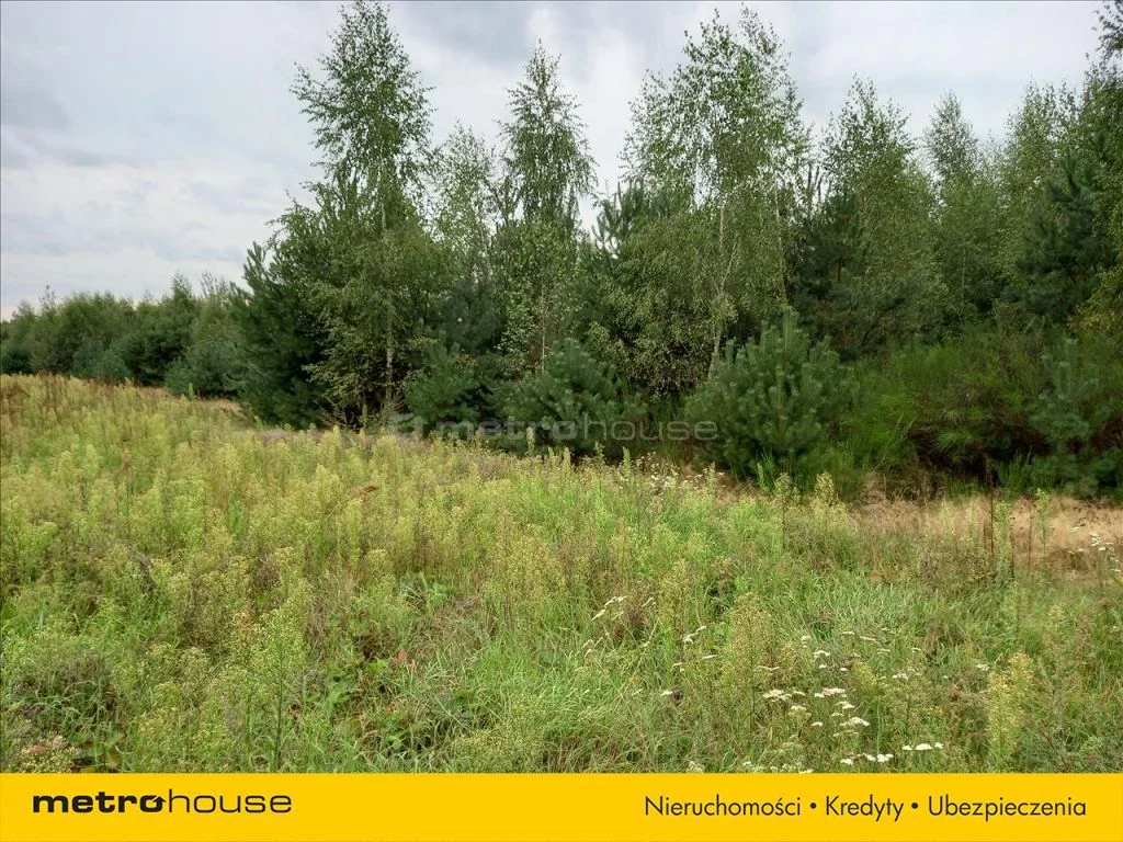 Działka 11 400,00 m², oferta nr , JUZA637, Promna-Kolonia