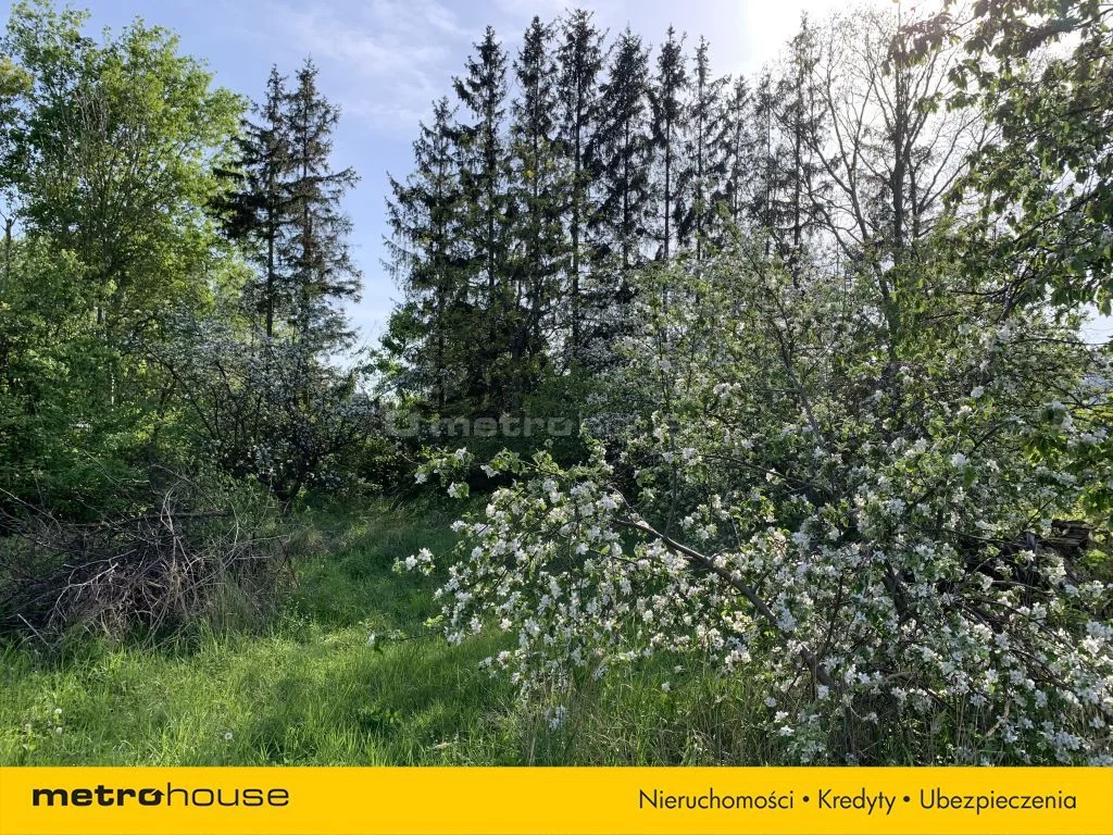 Działka 1 579,00 m², oferta nr , SGMUJU674, Maków Mazowiecki, Przasnyska